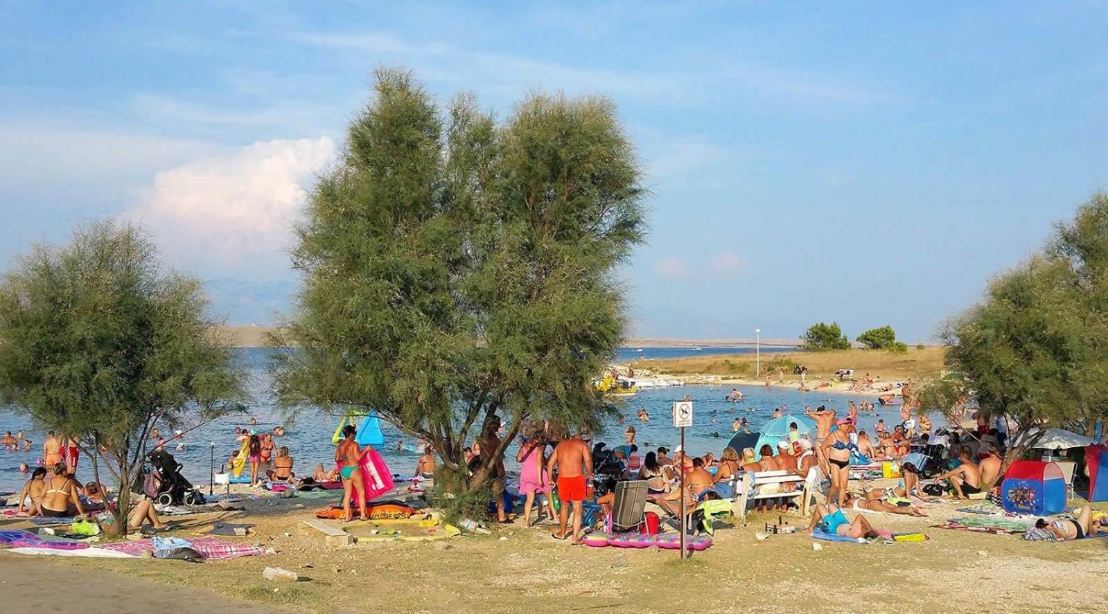 Apartmani Vjeko Vir Exterior foto